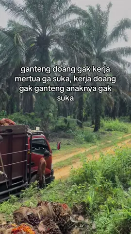 jadi kek mana bagusnya ini cEes🗿 #fyp #sawittiktok #storywa #storysawit #foryoupage 