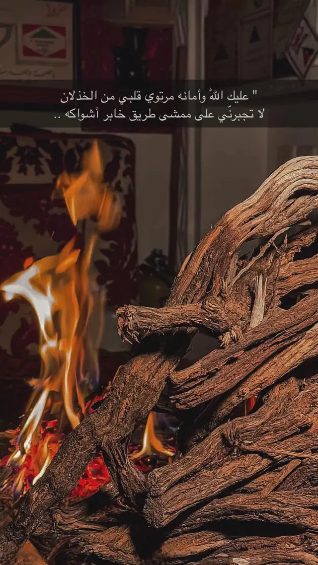 #اكسبلور #fypシ #fyp 