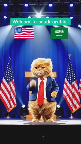#قطط_من_الخيال #امريكا_السعودية #اجمل_مقاطع_القطط #اكسبلورexplore #fyp 🇸🇦🇸🇦🇸🇦🇺🇸🇺🇸🇺🇸