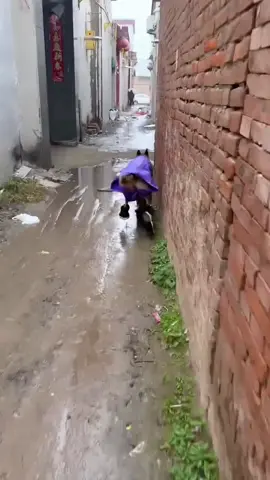 Đi chơi với ghệ thì bất chấp nắng hay mưa 🤣🤣🤣#xuhuong #cunyeu #vuivemoingay❤️ #vuimoingay💛💛💛 