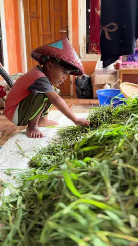 Maraban domba ku jukut… Maraban hayam ku hu’ut… Maraban janda ku……? #wabarkum 