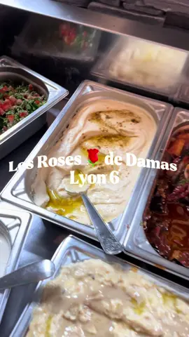 Pépite à Lyon 6 pour manger Libanais 🇱🇧 : c’est pour moi le meilleur restaurant Libanais de Lyon après en avoir testé plusieurs. Je suis cliente fidèle donc je ne peux que vous recommander.  📍Les roses de Damas  Buffet volonté uniquement midi et soir à la carte  #FoodTok #libanais #buffet #lyonresto #halalfood 