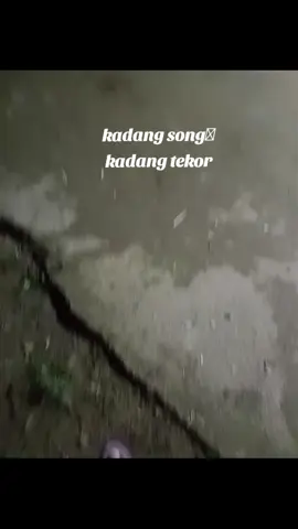 #jgnfyp @Buda_merowi🛠️ @CUMI DARAT🐙 @didomanual