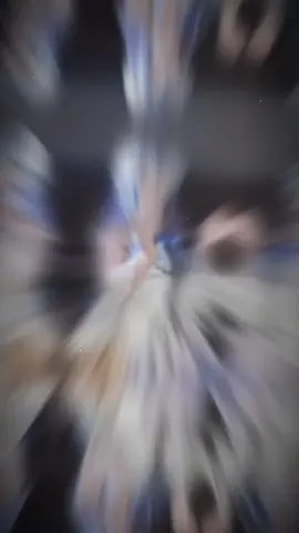 đố mn BT đây là nv nào trong ghenshin  #tiktok #xhtiktok #slaycosplay #cosplays #cosplaycover 