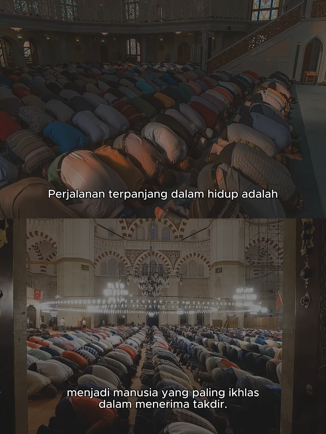 #muslim #muslimah #quotes #quotesislam #islam