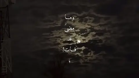 وما مضى قد فات🫳🏻🫴🏻#اعاده_نشر🔁 #ابو_بكر_سالم #تصميم_فيديوهات🎶🎤🎬 #يافع_الساحره_بجبالها #ايوب_طارش 