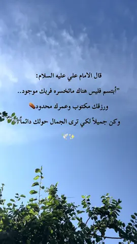 #مقولات_الامام_علي #اقوال_الامام_علي_عليه_السلام #اقوال_الامام_علي_عليه_السلام📜_✏️ #عباس_داود #اشهد_ان_علي_ولي_الله 