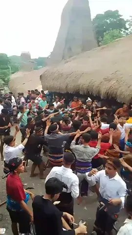 #tanahmarapu  #sumba  #fyppppppppppppppppppppppp 