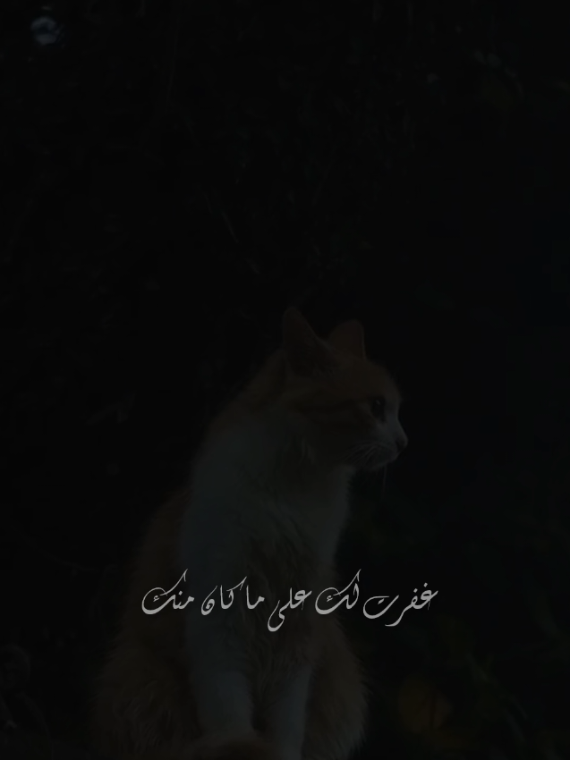 يا ابن ادم...💚🌿 #تيك_توك_ #خواطر #ستوريات #muslim #allah 