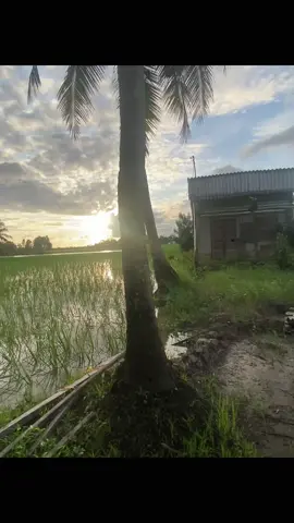 #canhdep#chill#xuhuongtiktok#vairal#foryou