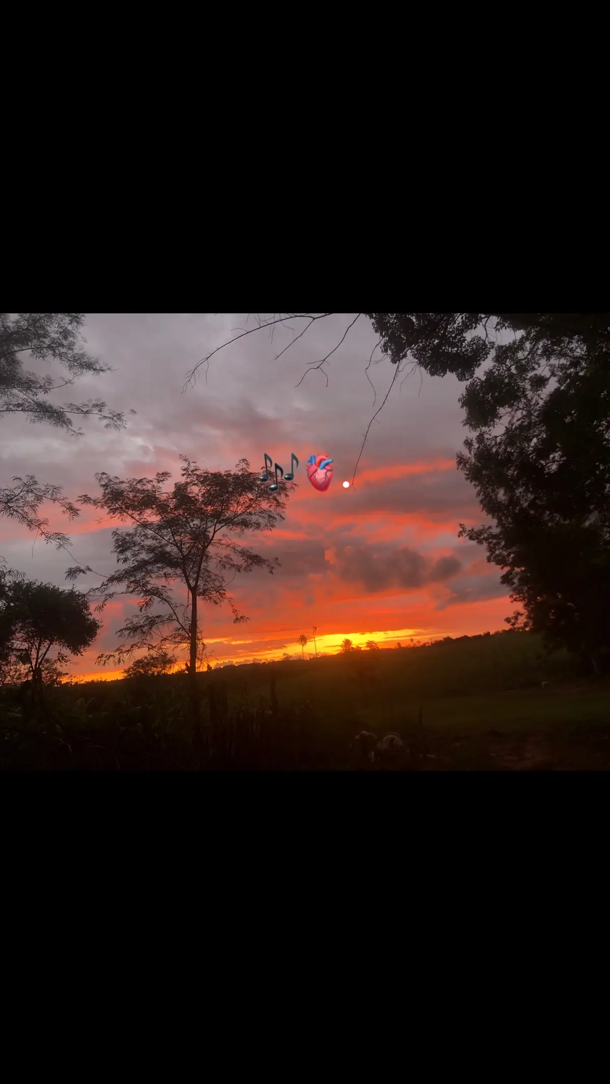 #paratii #fyp #atardecer🌅❤️ #fypシviralvideo 