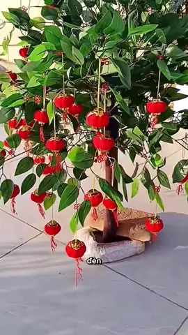 bộ lồng đèn trang trí cây hoa ngày lế tết tiện lợi#long #longden #longdentrangtritet #duett #giadung 