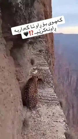 #دلن_بێ_جیاوازی✋ 