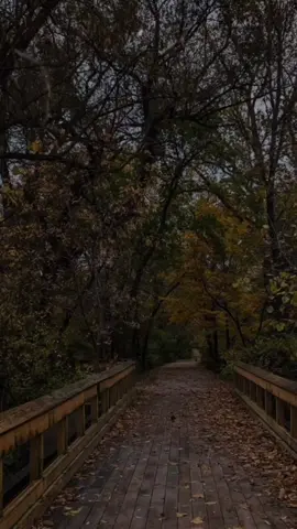 الدعوه دي ليكي انتي ❤ #المخرج_يحي_البحيري  #شعر#استوريات#دعاء  #مؤمن_عيد