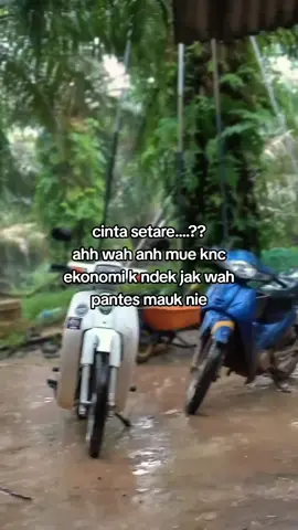 cinta setara..??#lewatberandafyp #kulisawitmalaysia🌴🇲🇾🇮🇩 #lombokvirall🌴🌴 #4upage #fyppppppppppppppppppppppp 