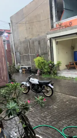 masih di forsale boskuuu kondisi bahan crittt asli king spek bleyer th 2000 lengkap plat s lamongann #spekbleyer #sadstory #rxking135 #sidoarjo24jam #fyp 