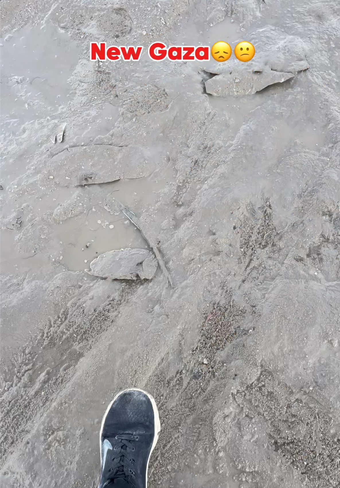 Unfortunately🫩🫩🫩#creatorsearchinsights #gazaunderattack #gofundmehelp #jet2holidays #free_palestine 