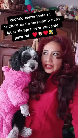 Su cara de: el extraterrestre te llevará a ti primero mamá jajajaja al fin es mi criatura y debo defenderla siempre  🐶♥️🐶😂😂😂#padresresponsables #humortiktok #perrihijos #Viral 