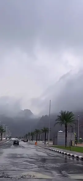 #حايل#حايل_بعد_حيي 