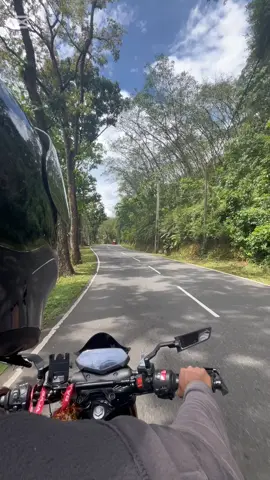 Green 🍃💚 #trending #srilankan_tik_tok🇱🇰 #flypシ #viralvideo #n160pulsar🙌🤞❣️❣️ 