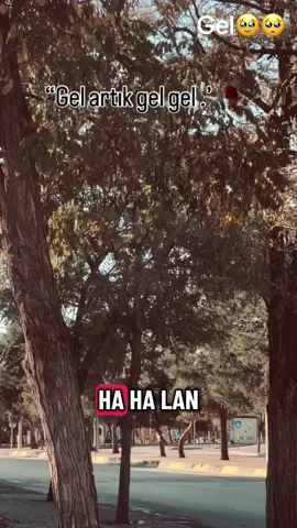 ##keşfetteyizzz #keşfet #yorumyap #gel #edipakbayram 