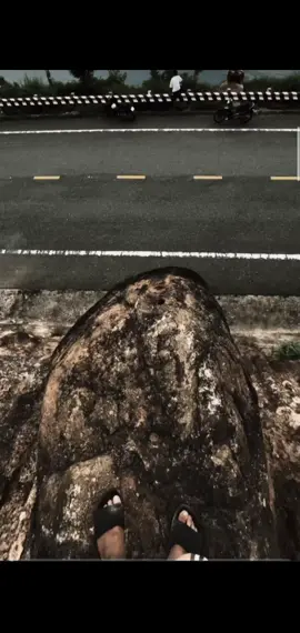 “心可以等，但时间不能等.....总有一天我们会发现，我们一直在等错误的人。“ 