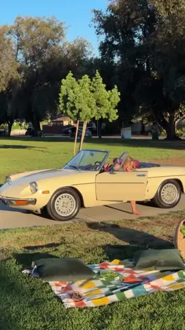 #gym #GymTok #fyp #foryoupage❤️❤️ #academia 