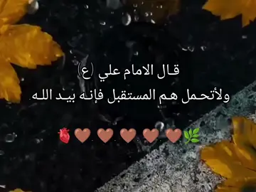 قـال الامام علي (ع) ولأتحـمل هـم المستقبل فإنـه بيـد اللـه. ❤🥹✨ .  .  .  .  .  .  .  .  #تصميم_فيديوهات🎶🎤🎬 #اللهم_صل_على_محمد_وآل_محمد #شعب_الصيني_ماله_حل #سيدرا #duet 