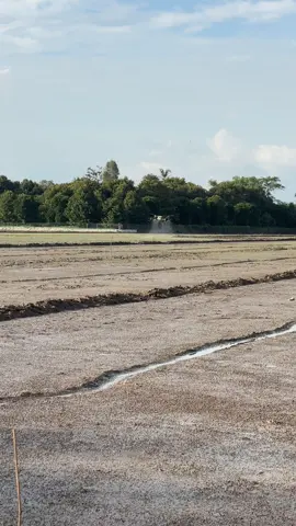 #t50 #dji @Máy Bay Nông Nghiệp 