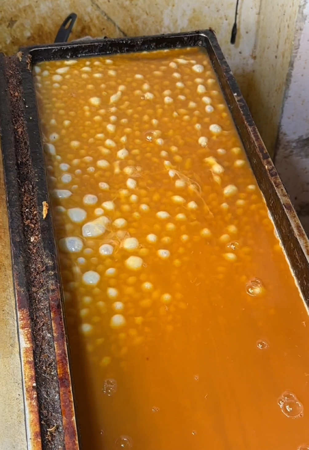 ぷるぷるの鰻だし巻きたまご ◎ うなぎの玉子焼き　¥640 【店名】はんなりいなり 【住所】神奈川県鎌倉市小町２丁目８−６ 【ｱｸｾｽ】鎌倉駅から徒歩5分 【定休】不定休 【営業時間】10:00-19:00 【料金】300-1,000円 Rolled Omelette ◎ Grilled Eel Tamagoyaki — ¥640 A fluffy and jiggly Japanese rolled omelette filled with savory grilled eel. It’s a unique and flavorful combination you can enjoy while strolling around Kamakura. 【Store】 Hannari Inari 【Address】 2-8-6 Komachi, Kamakura, Kanagawa 【Access】 5-minute walk from Kamakura Station 【Closed】 Irregular holidays 【Hours】 10:00–19:00 【Price Range】 ¥300–¥1,000 #神奈川グルメ  #japanesefood #tiktokfood 