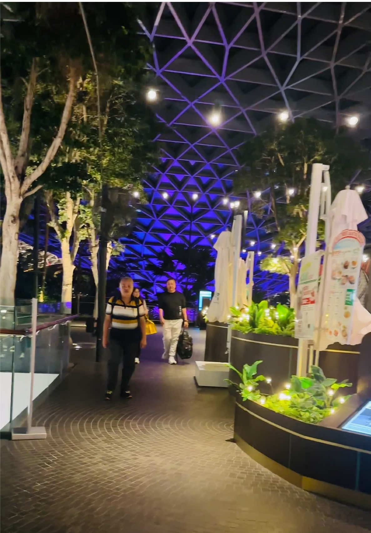 #singapore #fypシ゚ #vairal 