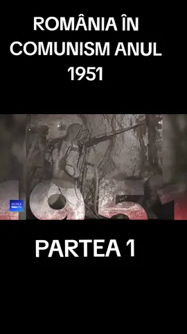 #creatorsearchinsights 