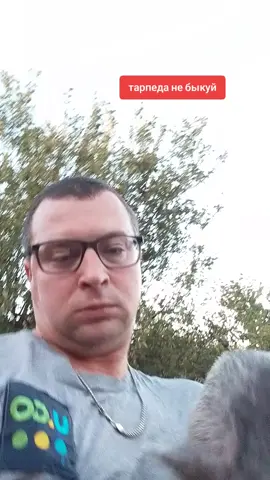 кабан бублик #бублик #травоядныепоросята #тарпеда #кабанбублик #чиназес 