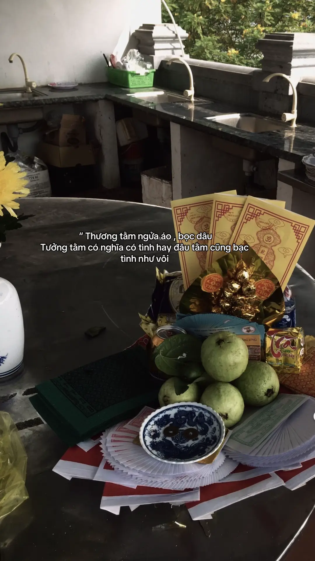 #hanhcan #tuphuvanlinh #xuhuong #xh #xh 