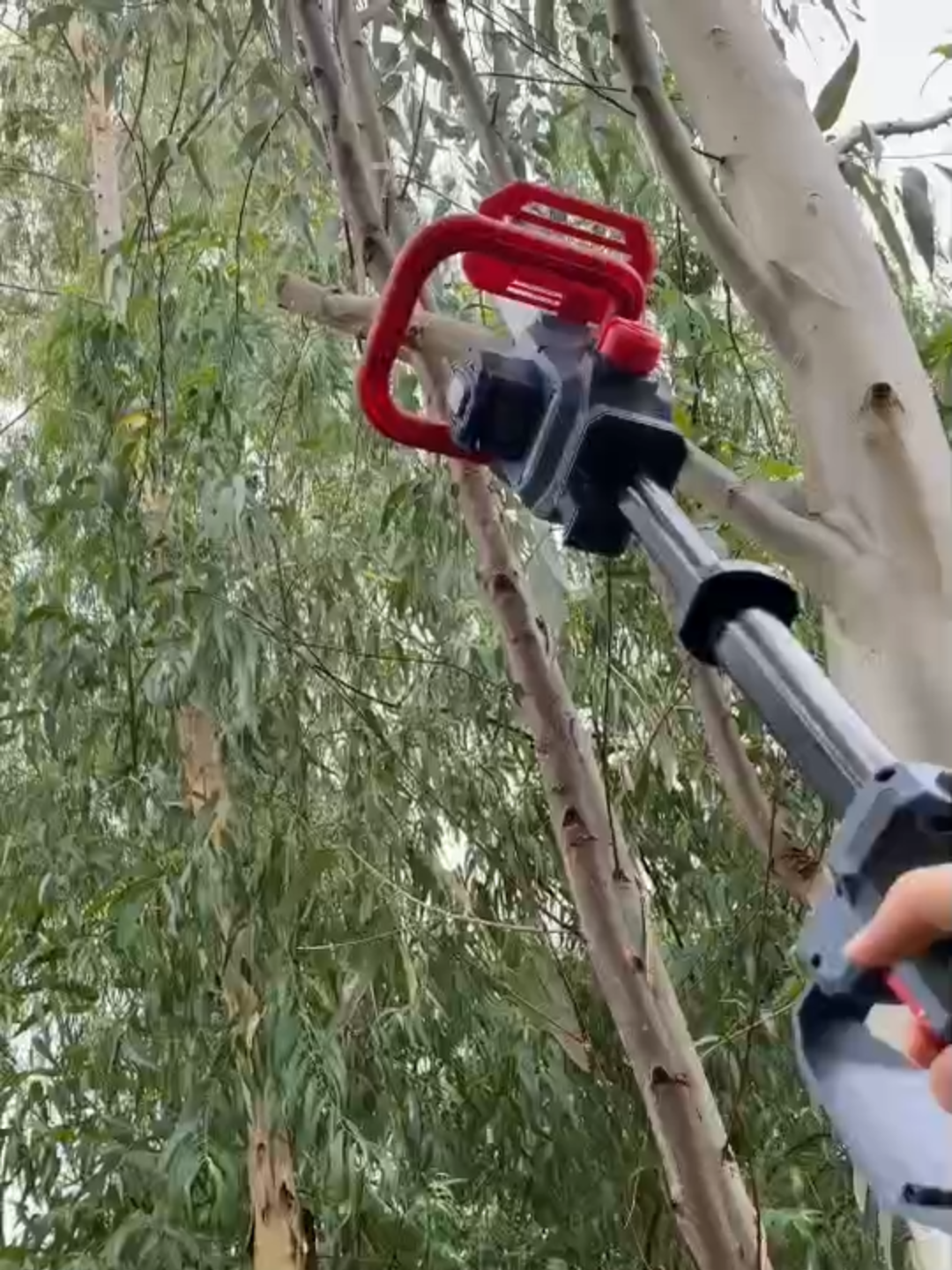 เลื่อยตัดกิ่งสูง เลื่อยตัดแต่งกิ่งสูงไร้สาย 11.5 นิ้ว SCS-435 #เลื่อยตัดไม้ #เลื่อยไฟฟ้าไร้สาย #เลื่อยตัดกิ่งไม้ #เลื่อยตัดกิ่งสูง #งานสวน #MASARU #masaru #เครื่องมือช่างและอุปกรณ์งานช่าง