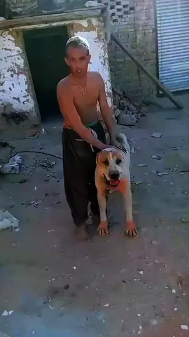 #foryou وائرل ٹیک ٹاک شو💔