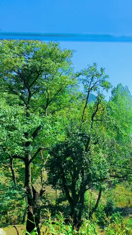 Calm vibes, cultural beauty & peaceful travel moments 🌿 From the heart of Pashto villages 🏞️#villagelife #khpal_kaly #foryou #travelvibes #culture 