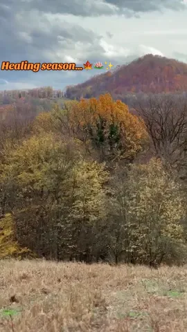 Ako čekaš znak da počneš iznova - evo ga! 🍁🌸🍀🪷🍂 #fyp #foryoupage #nature #viral #viralvideotiktok 