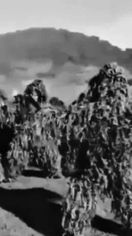 #storytni #hanturimba☠️ #sniper150 #fypシ #fyppppppppppppppppppppppp 