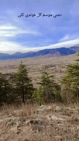 #creatorsearchinsights #5000k #views #viewsproblem #unfrizemyaccount #tiktok #studio #american #acount 