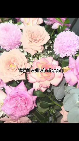 #xhhh #19thang11 #quoctenam #xhhhhhhh #xhhhhhhhhhhhhhhhhhhhhhhh 