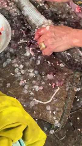 Dụng cụ đánh vảy cá siêu tiện dụng #danhvayca #xuhuongtiktok 