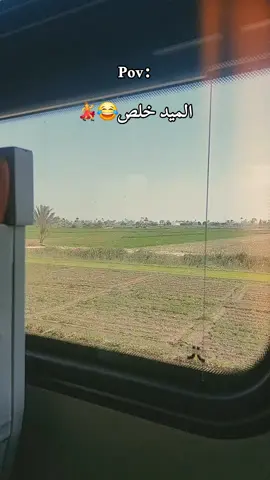 #بني_سويف #علوم_صحية_تطبيقية #BSU #سوهاجي_في_بني_سويف #جامعة_بني_سويف 