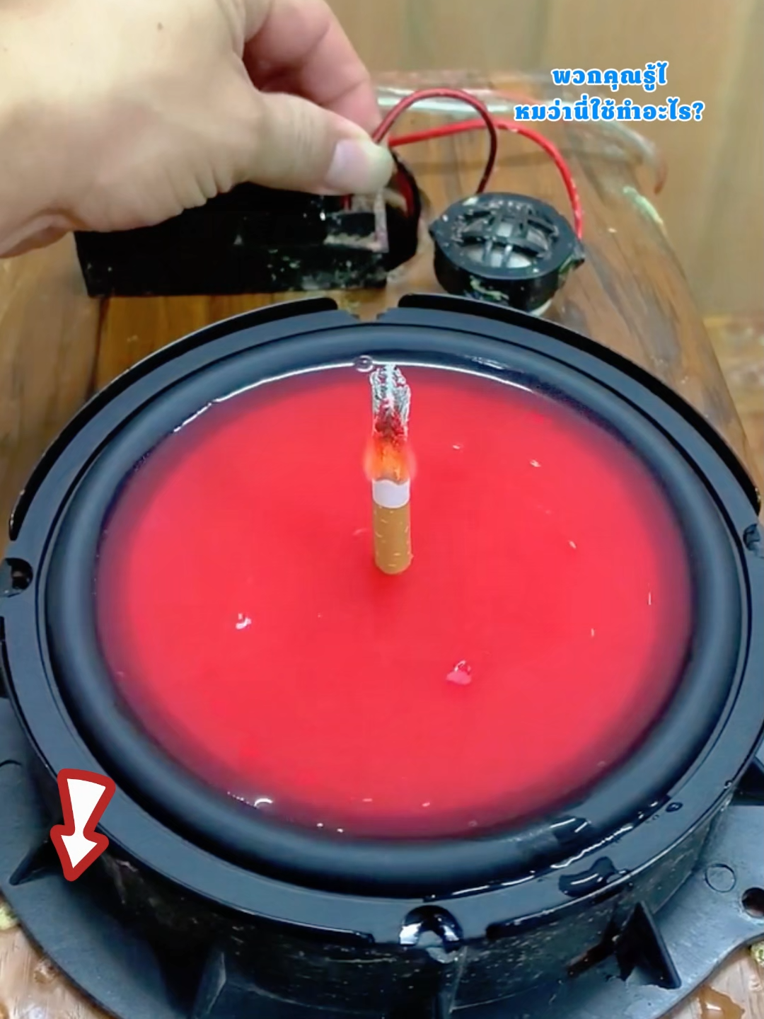 ของดีบอกต่อ – ลำโพงแม่เหล็ก เสียงมันส์กว่าเครื่องเก่าเยอะ!-ye #ลำโพงแม่เหล็ก #ลำโพงบลูทูธ #ลำโพงกันน้ำ #ลำโพงเล็กเสียงดัง #niumo