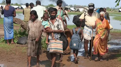 #tamileealam🐅 #seatiger #மாவீரர் #naamtamilar #தமிழ் 