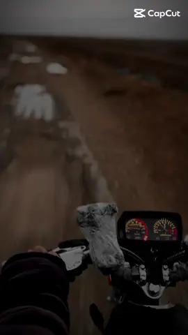 #عجيبه_شلون_ماسموك_ورده🌼  بدر الشمري😴👨🏻‍🦯