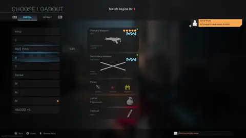 Maybe? ##mw1##ps5##mw