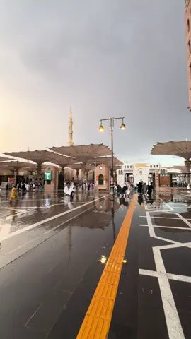 اهدنا الصراط المستقيم 🤲🏻🤍. #المسجد_النبوي #المدينه_المنورة 