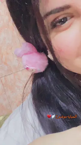 #v #اعادة_النشر🔃 