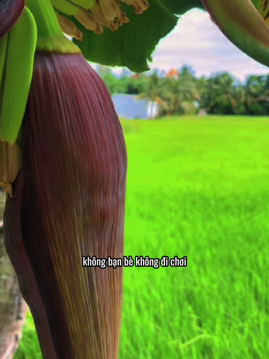 #guiloimuonnoi #xuhuongtiktok #trietlycuocsong #baihoccuocsong #tamtrang 